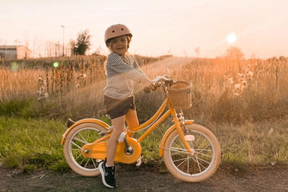 Bicicletta per bambini 4-6 anni 16" Gingersnap